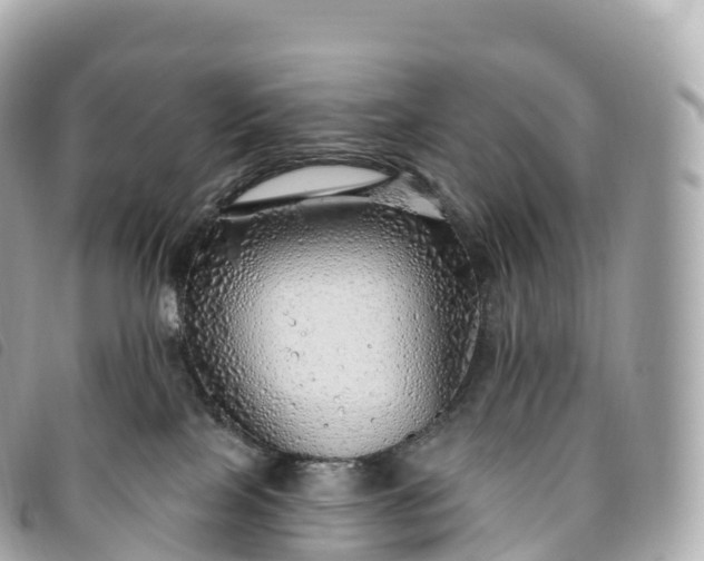 X0000093500089200710261146