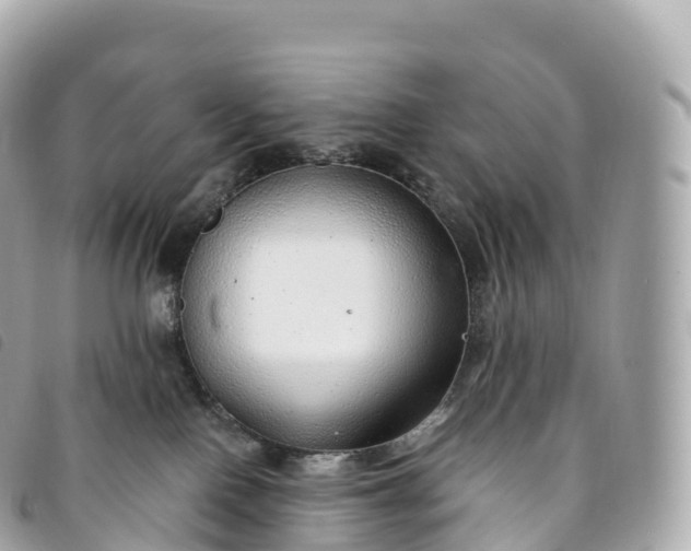 X0000093500090200710261146