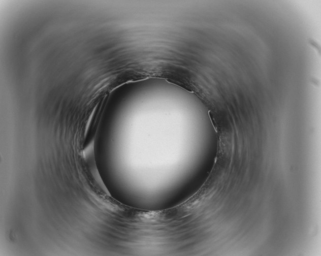 X0000093500092200710261146