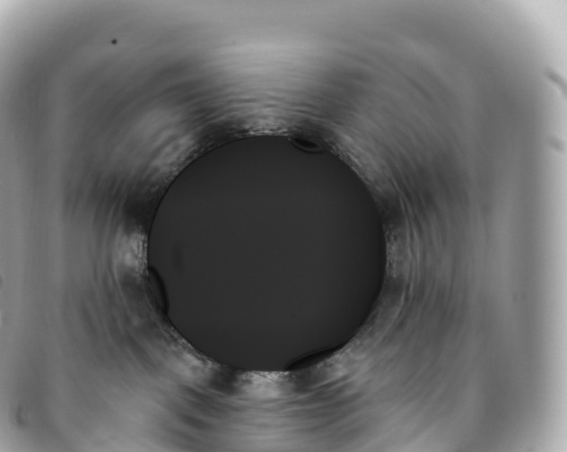 X0000093500093200710261146