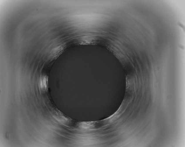 X0000093500094200710261146
