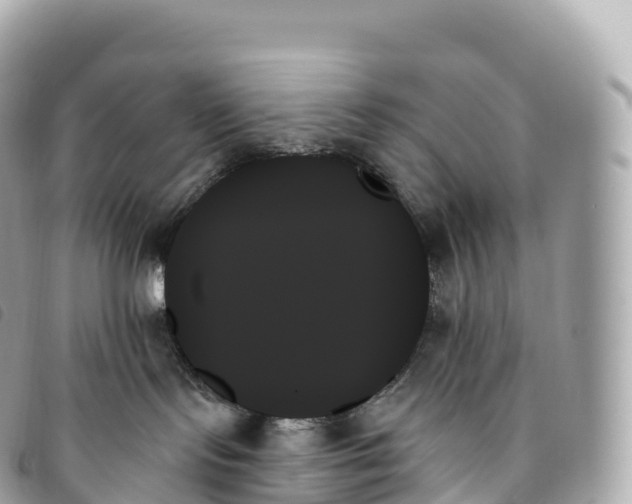 X0000093500095200710261146