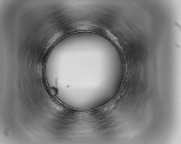 X0000093500106200710261145