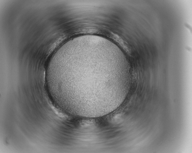 X0000093500110200710261145