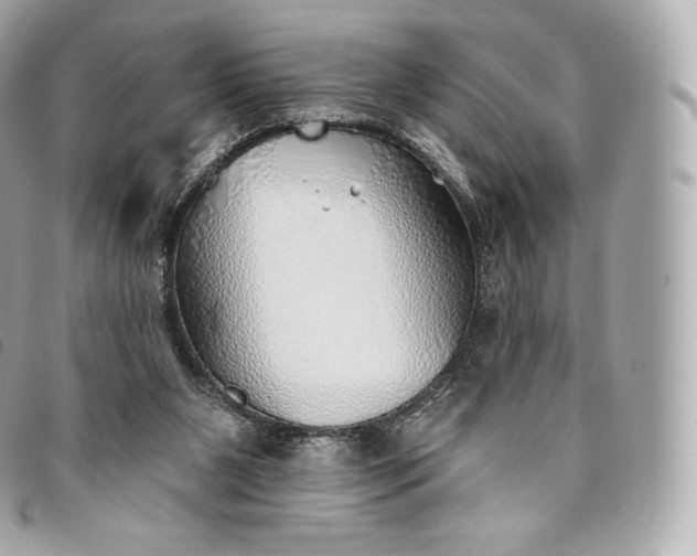 X0000093500111200710261145