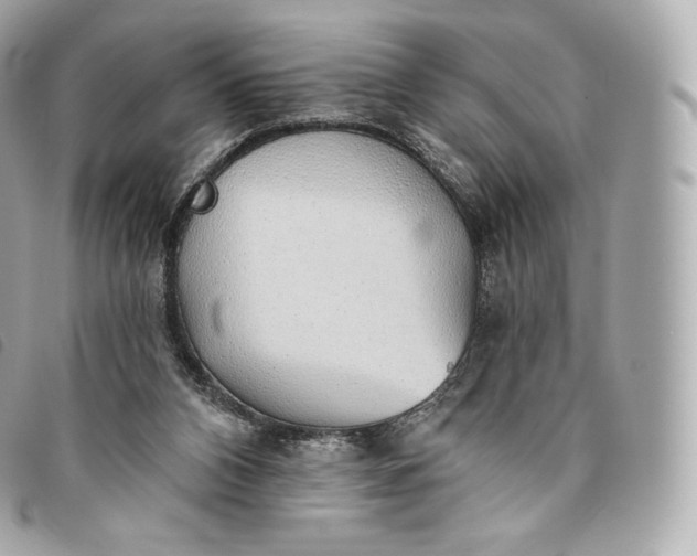 X0000093500112200710261145