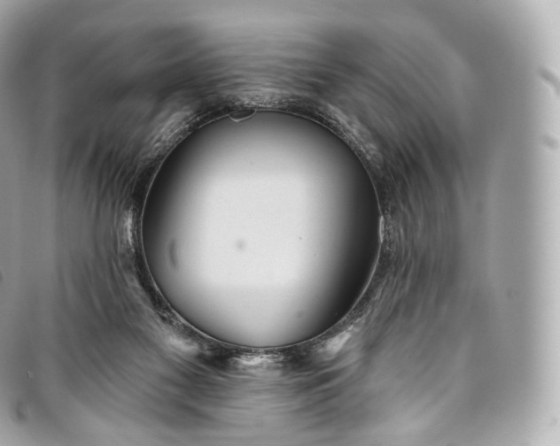 X0000093500117200710261145