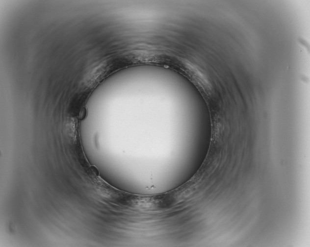 X0000093500121200710261145