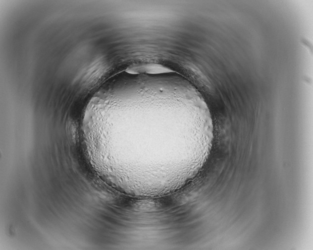 X0000093500123200710261145
