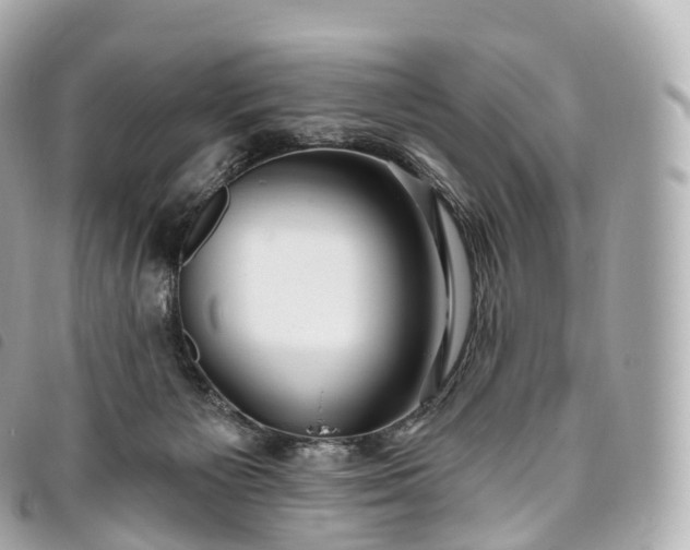 X0000093500125200710261145