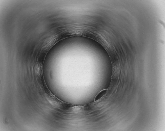 X0000093500126200710261145
