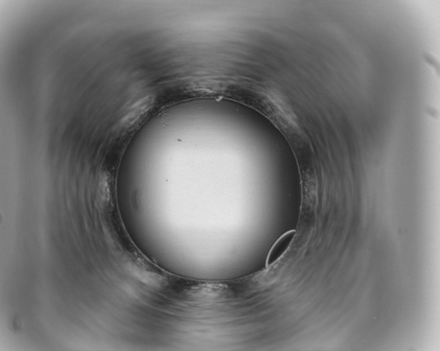 X0000093500128200710261145