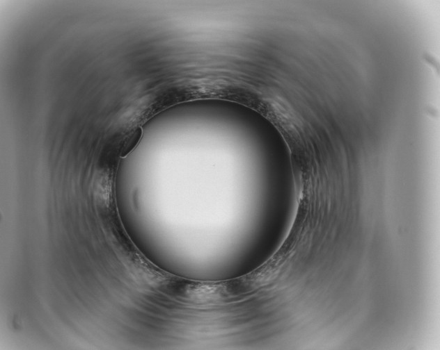 X0000093500129200710261145