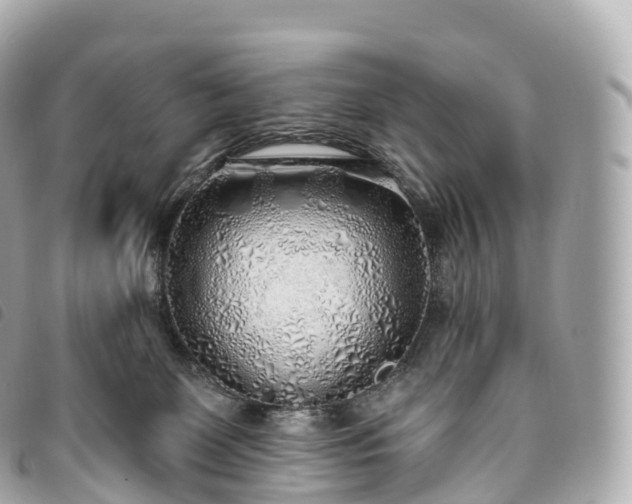 X0000093500131200710261145