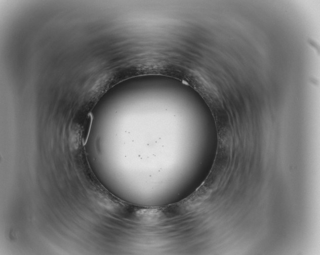 X0000093500133200710261145