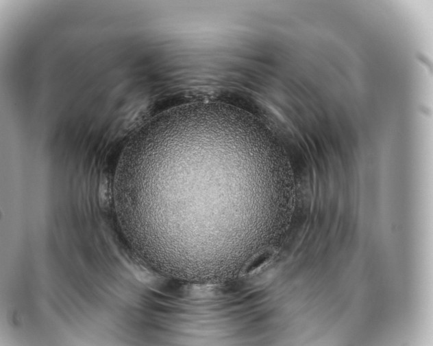 X0000093500134200710261145