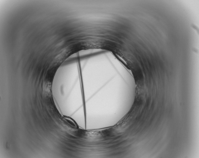 X0000093500141200710261145