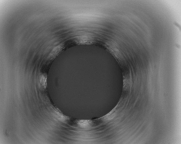X0000093500142200710261145