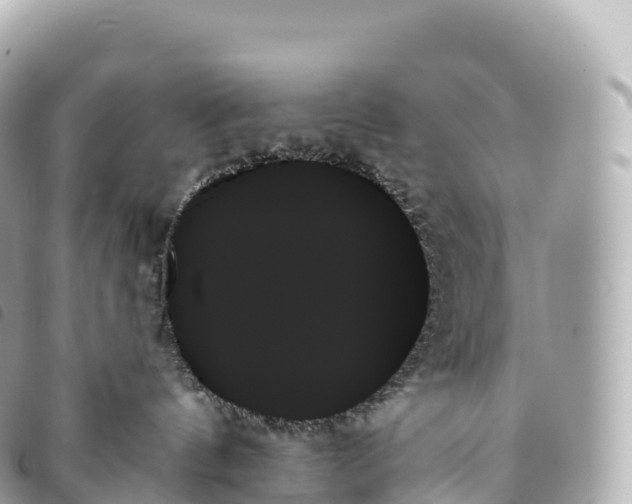 X0000093500144200710261145