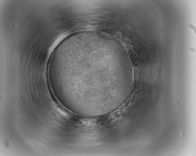 X0000093500147200710261144