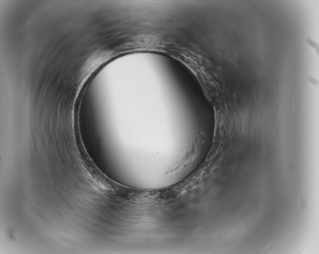 X0000093500148200710261144