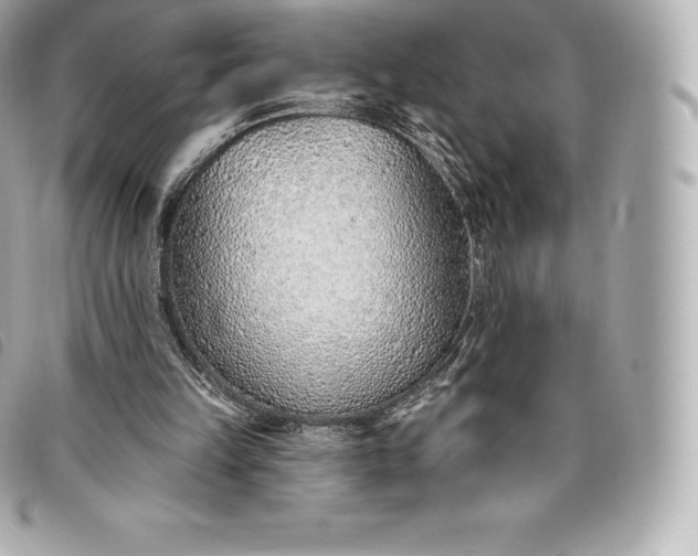 X0000093500149200710261144