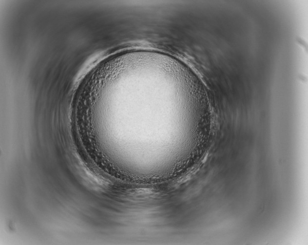X0000093500151200710261144
