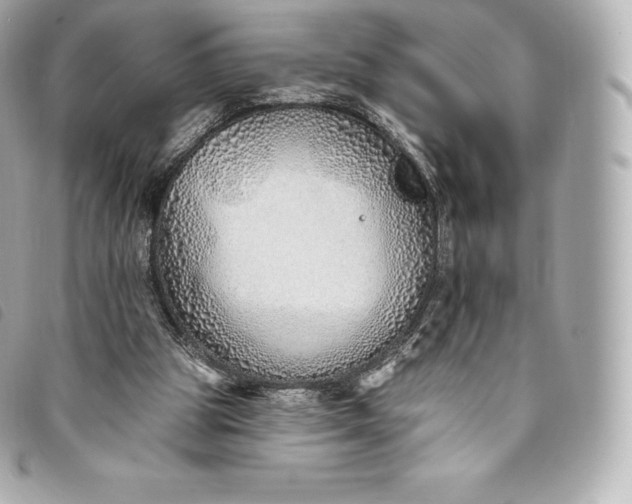 X0000093500153200710261144