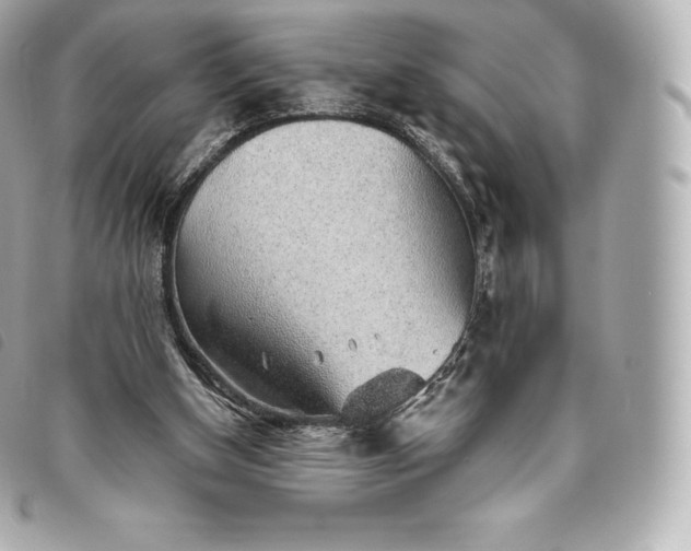 X0000093500154200710261144