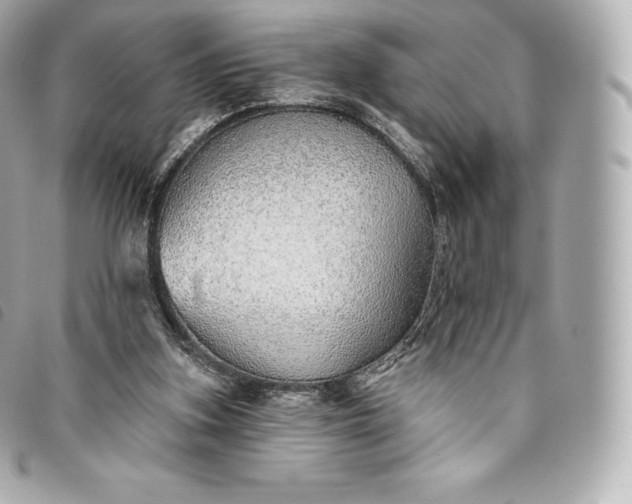 X0000093500155200710261144