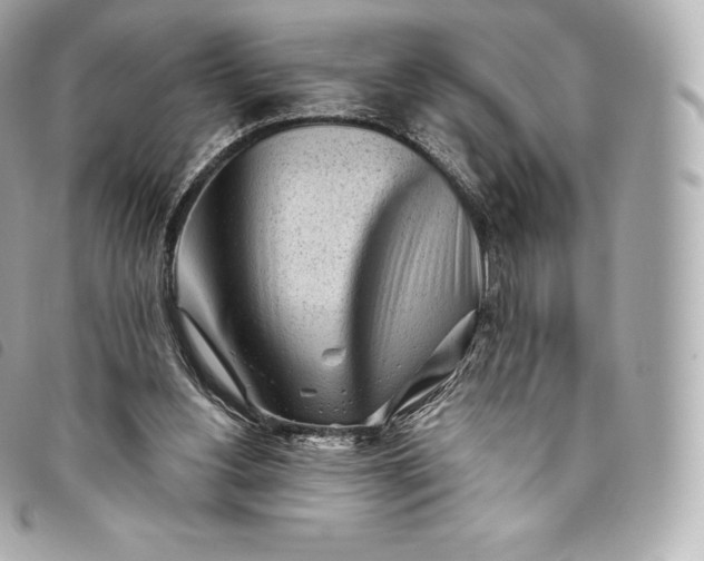 X0000093500156200710261144
