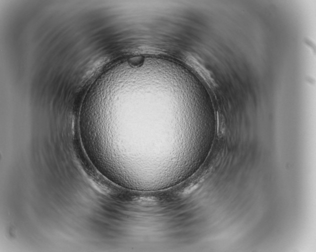 X0000093500157200710261144