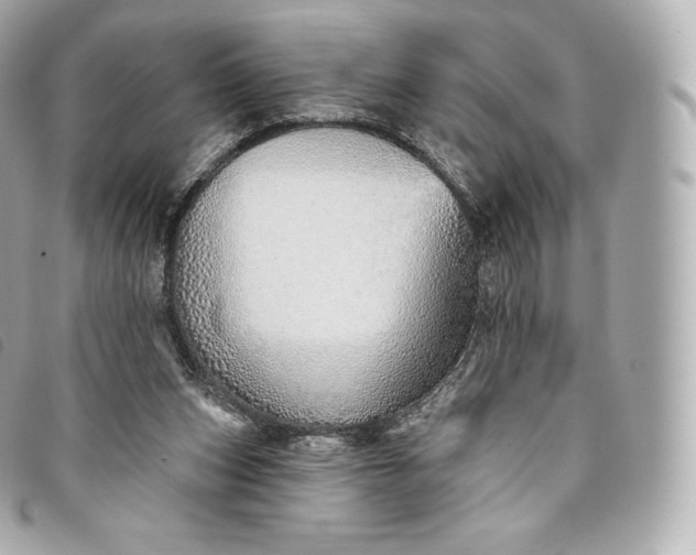 X0000093500159200710261144