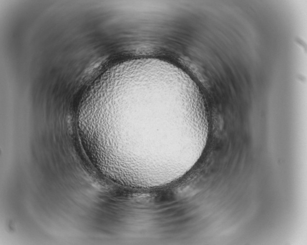 X0000093500161200710261144