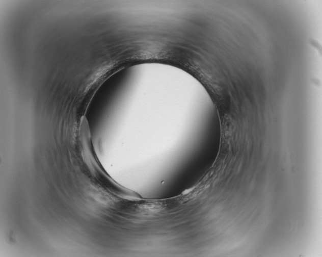 X0000093500164200710261144
