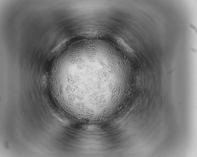 X0000093500165200710261144