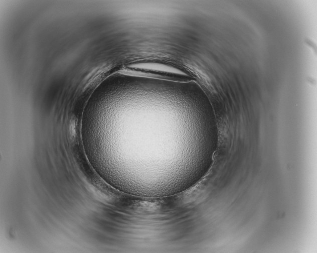 X0000093500166200710261144