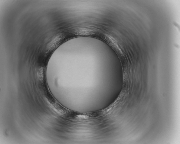 X0000093500167200710261144