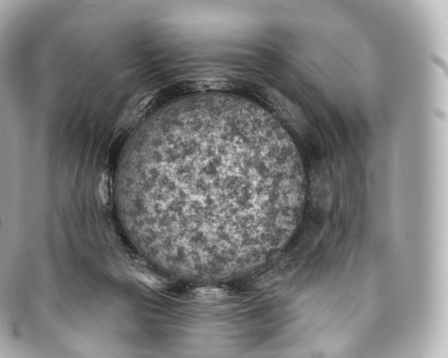 X0000093500169200710261144
