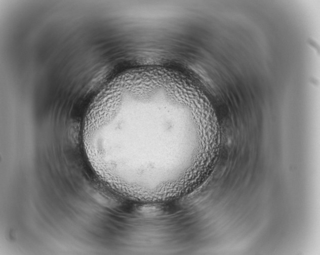 X0000093500171200710261144