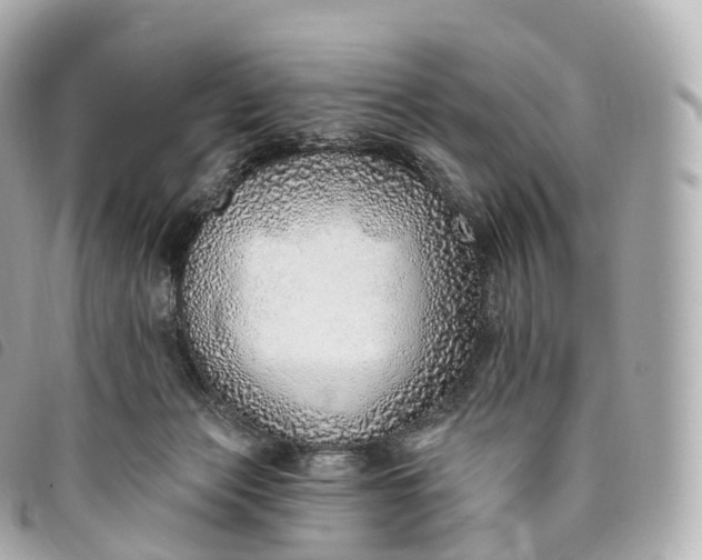 X0000093500173200710261144