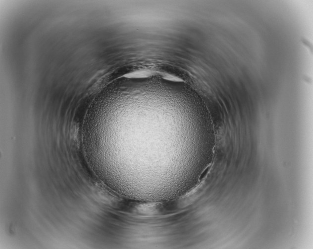 X0000093500178200710261144