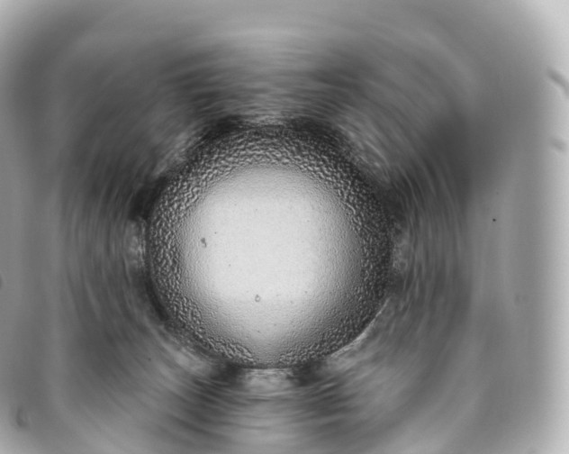 X0000093500179200710261144