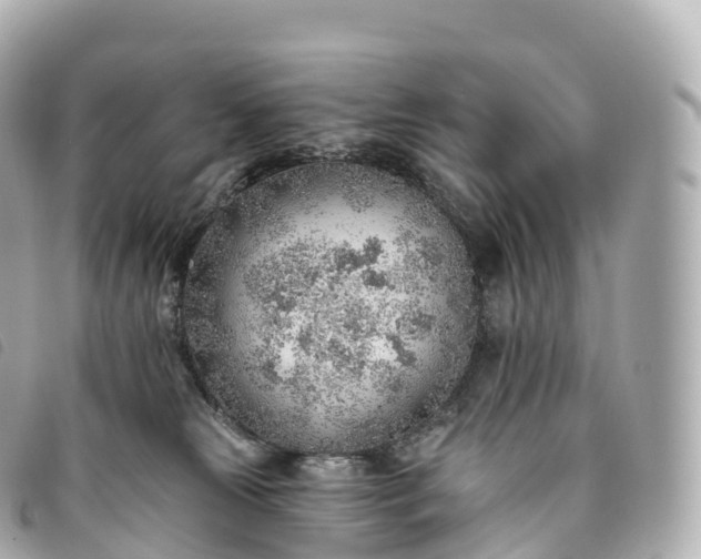 X0000093500181200710261145