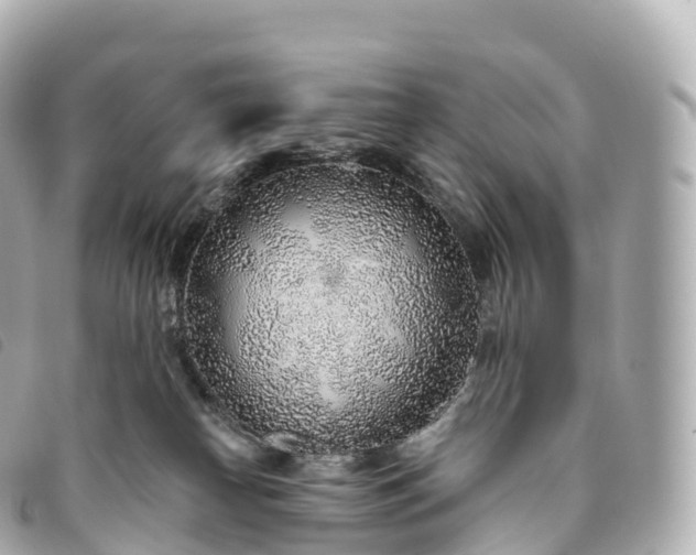 X0000093500182200710261145