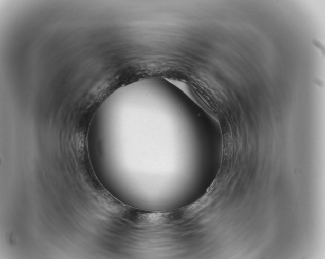 X0000093500184200710261145
