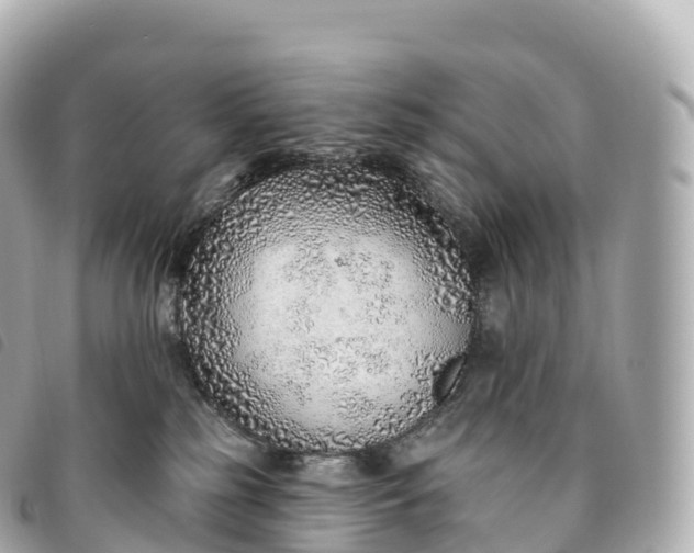 X0000093500185200710261145