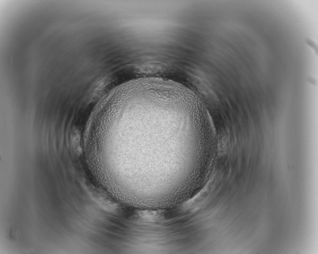 X0000093500187200710261145