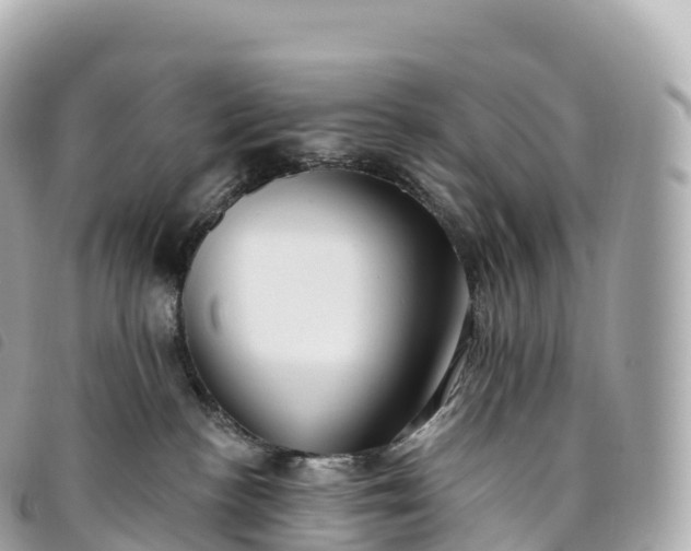 X0000093500188200710261145