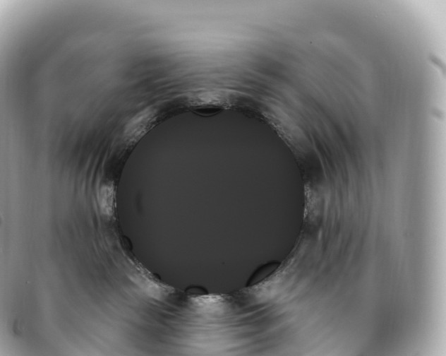 X0000093500189200710261145